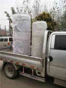 燃气热水洗浴新利（中国）