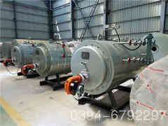 4吨生物质蒸汽新利（中国）