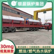 6吨天然气蒸汽新利（中国）银晨新利（中国）售后服务