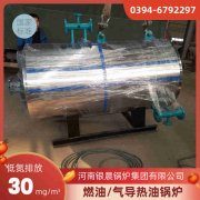 4吨环保蒸汽新利（中国）银晨新利（中国）售后