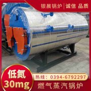 6吨低氮冷凝蒸汽新利（中国）河南银晨新利（中国）集团有限公司