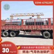 3吨节能蒸汽新利（中国）银晨新利（中国）集团有限公司