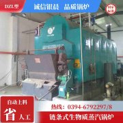 0.5吨节能蒸汽新利（中国）河南银晨新利（中国）集团