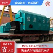 2吨低氮冷凝蒸汽新利（中国）太康银晨新利（中国）