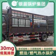 2吨低氮冷凝蒸汽新利（中国）太康县银晨新利（中国）有限公司