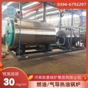 0.7吨低氮冷凝蒸汽新利（中国）银晨新利（中国）集团有限公司