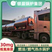 0.7吨柴油蒸汽新利（中国）银晨新利（中国）