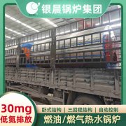 0.2吨低氮冷凝蒸汽新利（中国）银晨新利（中国）厂