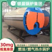 0.5吨低氮冷凝蒸汽新利（中国）银晨新利（中国）集团