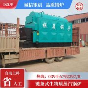 0.2吨低氮冷凝蒸汽新利（中国）太康银晨新利（中国）