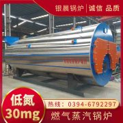 1吨真空燃气新利（中国）