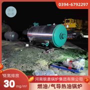 6吨燃气新利（中国）厂家