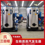 16蒸吨燃气蒸汽新利（中国）