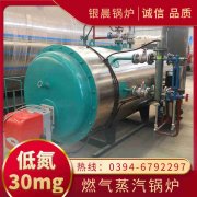 天然气蒸汽新利（中国）厂家