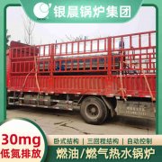 2吨燃气燃气新利（中国）