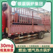 6吨燃气新利（中国）参数