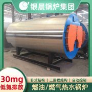 燃油燃气蒸汽新利（中国）价格