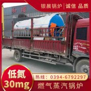 燃气蒸汽新利（中国）商家