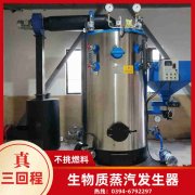 六吨燃气新利（中国）厂家