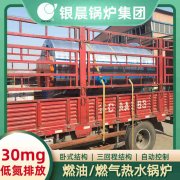 链条炉排热水新利（中国）