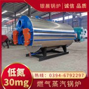 天然气热水新利（中国）厂家