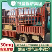 1吨燃气热水新利（中国）