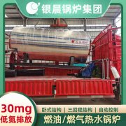 蒸汽新利（中国） 燃煤新利（中国）