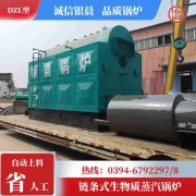 1吨低氮冷凝新利（中国）