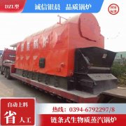 6吨低氮新利（中国）