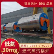 冷凝低氮蒸汽新利（中国）