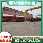 低压高温蒸汽新利（中国）