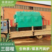 卧式生物质颗粒蒸汽新利（中国）