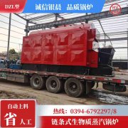 燃煤蒸汽新利（中国）多少钱