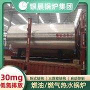 卧式燃煤蒸汽新利（中国）