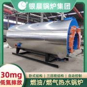 12吨低氮冷凝新利（中国）