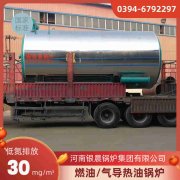 8吨低氮冷凝新利（中国）