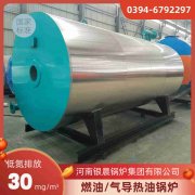 燃甲醇热水新利（中国）