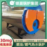 0.5吨燃气热水新利（中国）