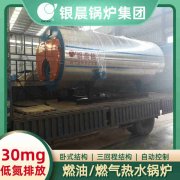 0.7吨新利（中国）