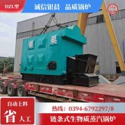 0.2吨新利（中国）