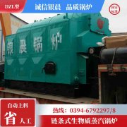 0.3吨天然气热水新利（中国）