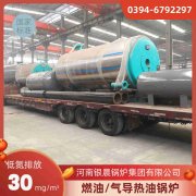 0.2吨燃气热水新利（中国）