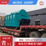 0.7吨天然气热水新利（中国）