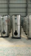 重庆12吨燃气热水新利（中国）