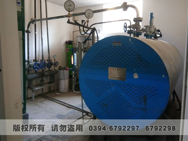 电加热蒸汽新利（中国）