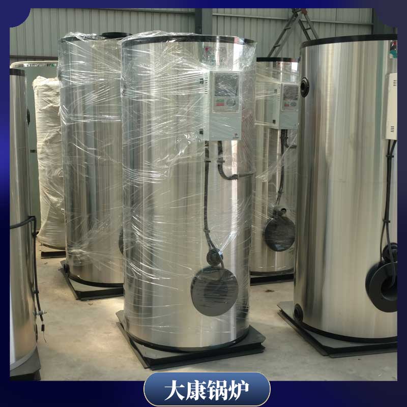 6t生物质燃料新利（中国）