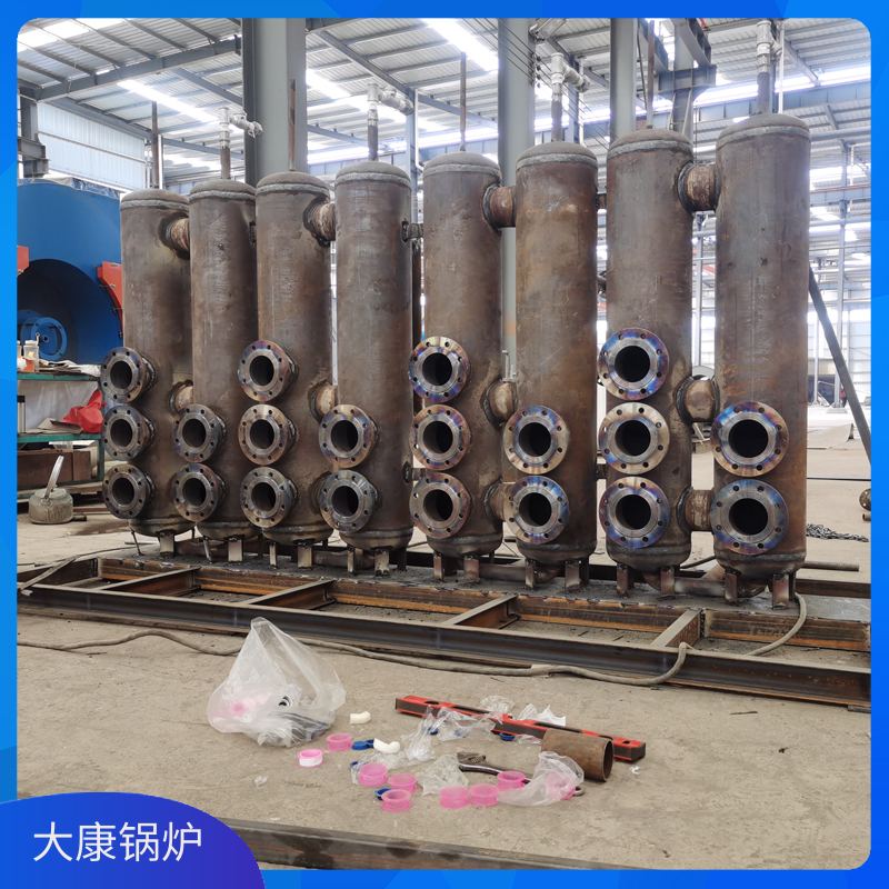 3吨燃生物质新利（中国）