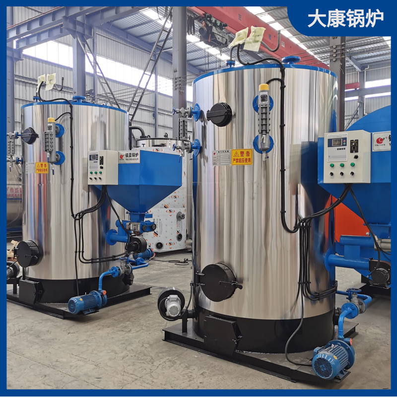 二吨生物质卧式新利（中国）