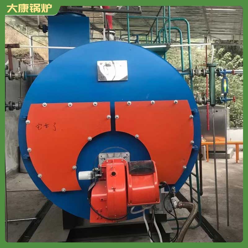 1吨低氮冷凝蒸汽新利（中国）