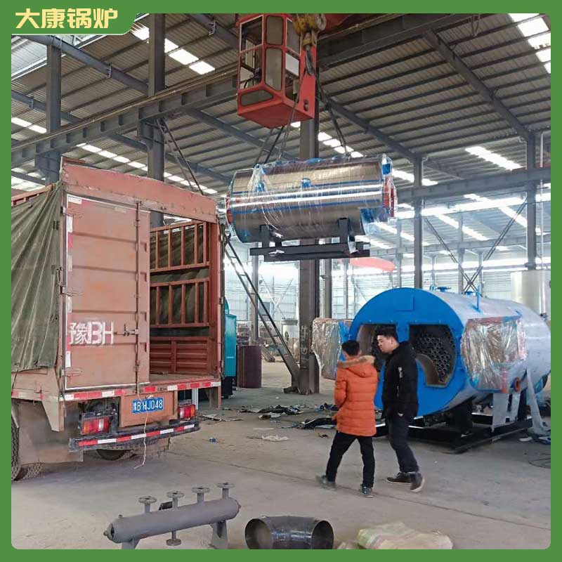 10t生物质蒸汽新利（中国）